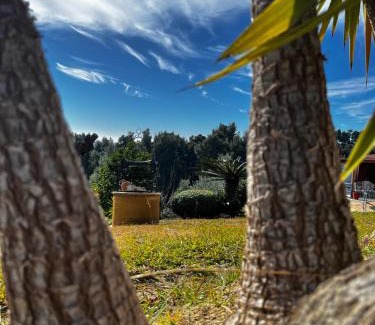 Siviri House | Villa Cultura Elani Halkidiki