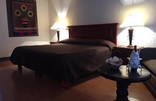 Guanajuato House | villa de la plata