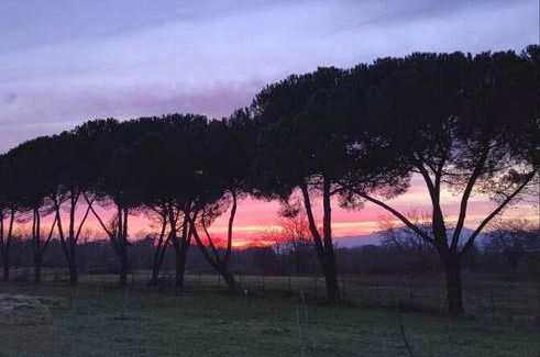 Fucecchio House | Villa Donnola: casa Rosmarino