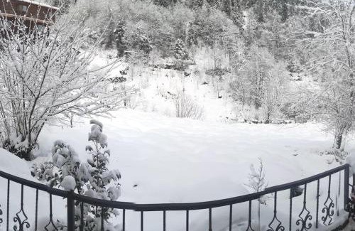 Ayder Villa | Villa Dorchinn