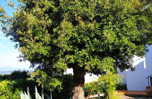 San Vivaldo Villa | VILLA ELEONORAnIndipendent villa with private garden and private outdoor pool
