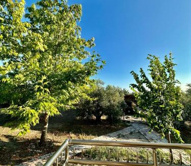 Nea Propontida Villa | Villa Elia in Nea Kallikrateia