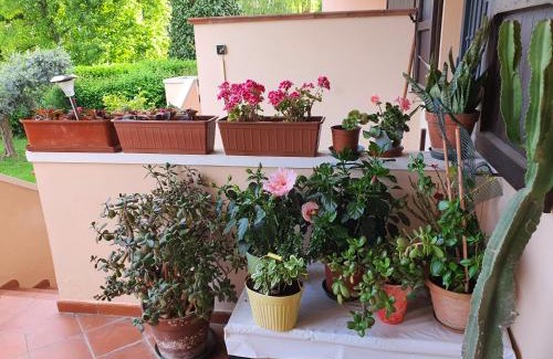 Quartiere Oltre Savio Bed & Breakfast | Villa Elsa, Cesena zona Ippodromo