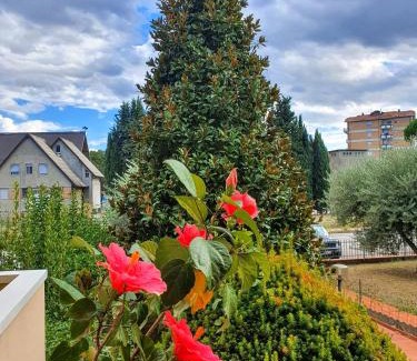 Quartiere Oltre Savio Bed & Breakfast | Villa Elsa, Cesena zona Ippodromo