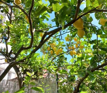 Torre Annunziata Villa | Villa François