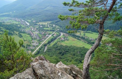 Solochyn Hotel | Villa Garden Hotel