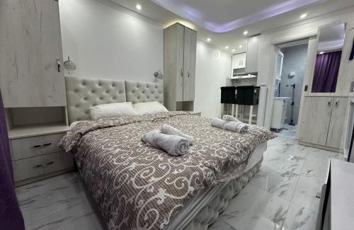 Vrnjacka Banja Apartment | Villa Harizma