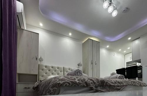 Vrnjacka Banja Apartment | Villa Harizma