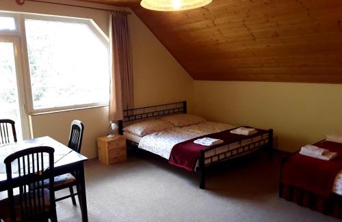 Dunakiliti House | Villa Hedi