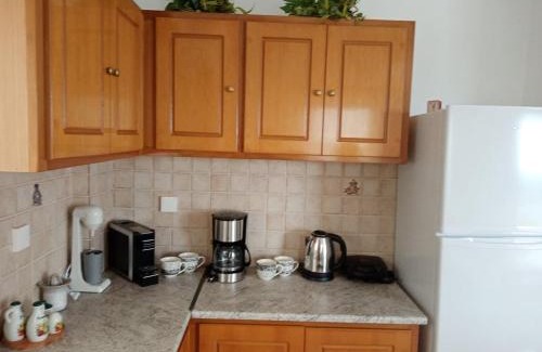 Sitia Villa | Villa Helen's Olive Garden