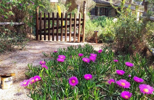 Roccamare Villa | Villa In Pineta Di Roccamare With Private Beach