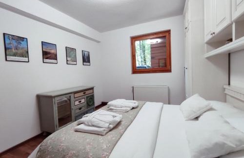 Zenica-Doboj Canton Villa | Villa Kamenica