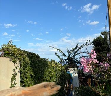 Filicudi Porto House | Villa La Rosa