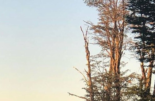 Neuquen Cabin | Villa las Lengas