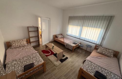 Novi Becej House | Villa Leon