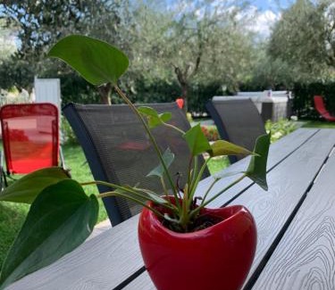 San Benedetto di Lugana Apartment | Villa Lori Apartments Garden and Beach