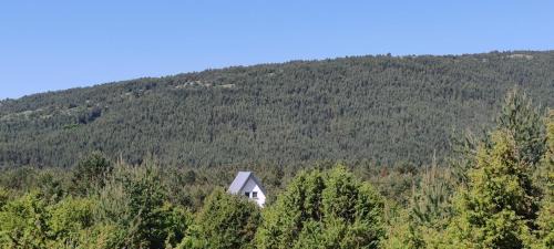 Blidinje Nature Park Apartment | Villa Madalina Blidinje