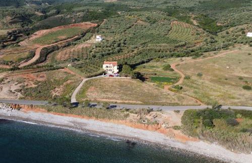 Monemvasia Apartment | Villa Marifay