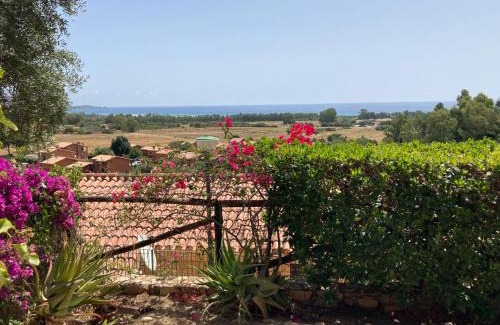 Costa Rei House | Villa Michela
