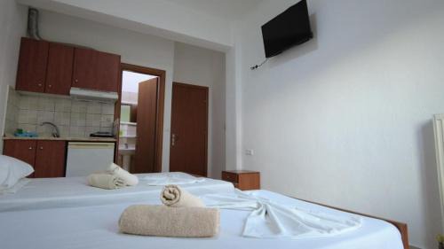 Katerini Apartment | Villa Minas