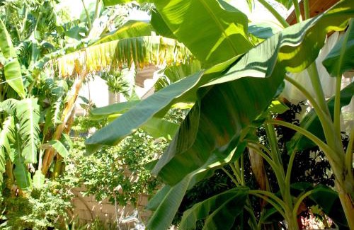 Kodrra House | Villa Mucho