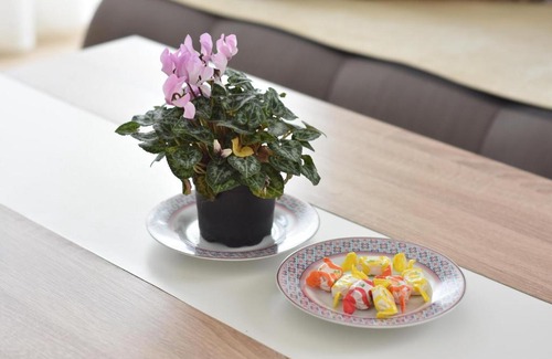Novi Beograd Apartment | Villa My Garden FREE PARKING