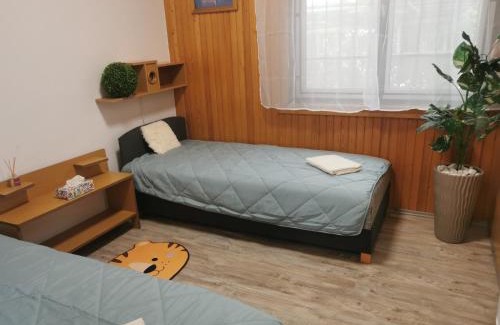 Balatonfenyves House | Villa Negra 1