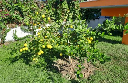 Vlore Apartment | Villa Orange