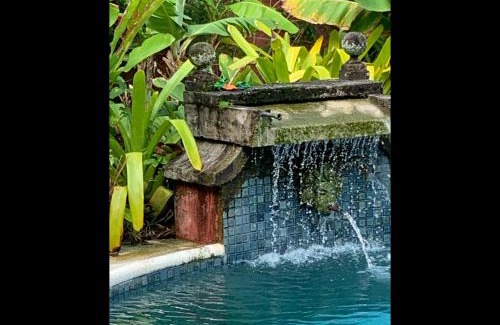 Sao Sebastiao Hotel | Villa Paradiso Pousada