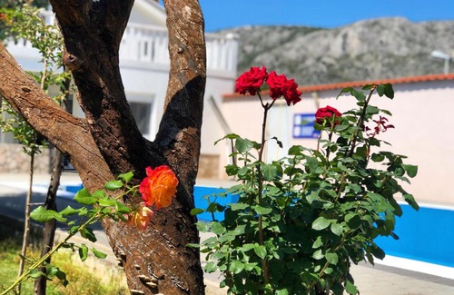Bisce Polje Villa | Villa Residence