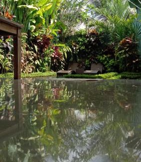 Singakerta Villa | villa Rona1