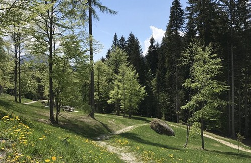 Palu Apartment | Villa Rustichella: an enchanting apartment!