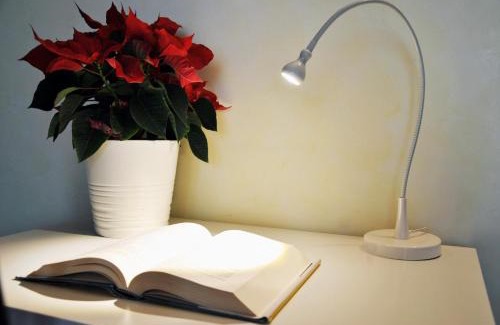 Noventa Padovana Bed & Breakfast | Villa Stefania