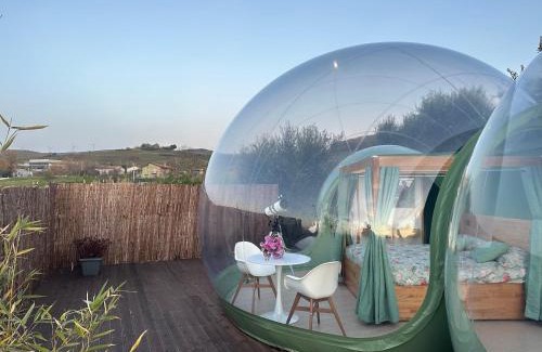 Filiano Bed & Breakfast | Villa Ulivi