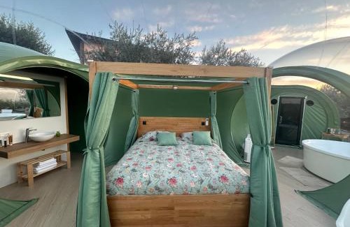 Filiano Bed & Breakfast | Villa Ulivi