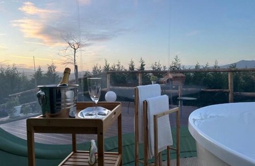 Filiano Bed & Breakfast | Villa Ulivi