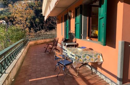 Montignoso Villa | Villa Vigna
