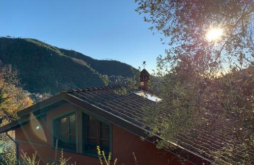 Montignoso Villa | Villa Vigna