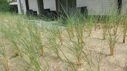 De Panne House | Villa Vindina