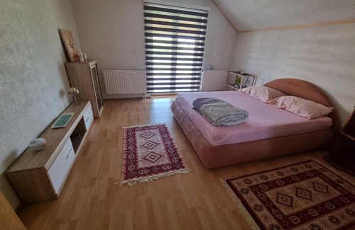Mali Radic Apartment | Villa Voyage