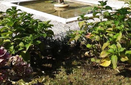 Treviso Bed & Breakfast | Villa Zane