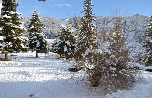 Villard-de-Lans Apartment | VILLARD DE LANS