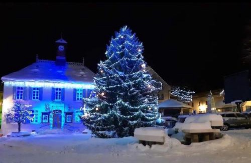 Villard-de-Lans Apartment | VILLARD DE LANS