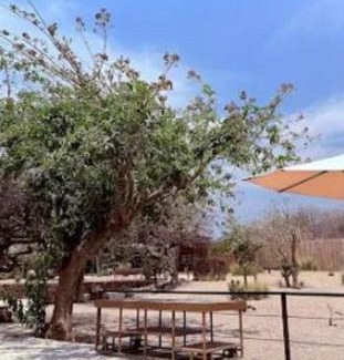 Tepoztlan Hotel | Villas Ecuestre Hotel Tepoztlán