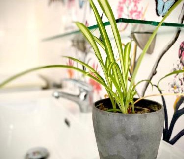 Chipiona Apartment | Villasultana 1