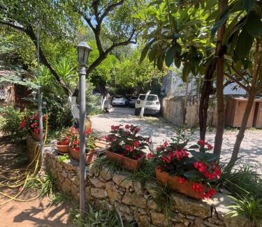 Marina Di Camerota Apartment | VILLINO TROCCOLI, Appartamento ALICE