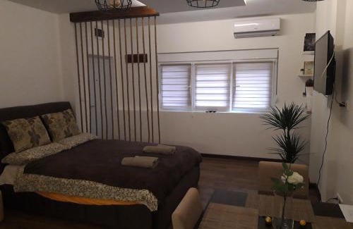 Vracar Apartment | Vilovski