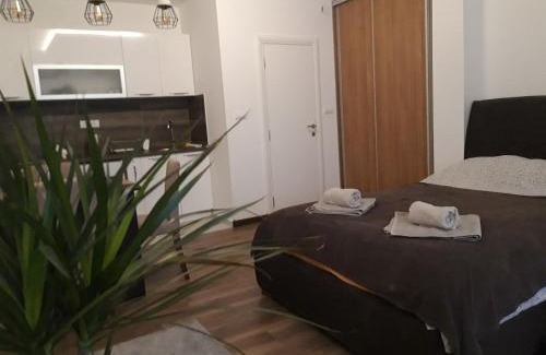 Vracar Apartment | Vilovski