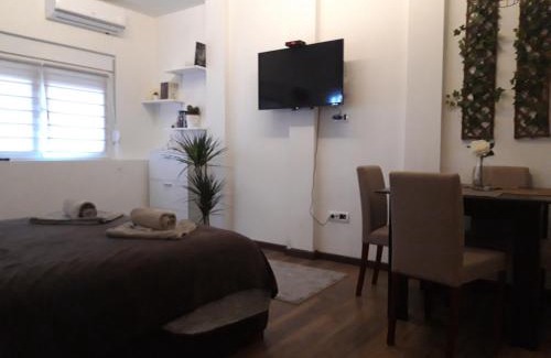 Vracar Apartment | Vilovski