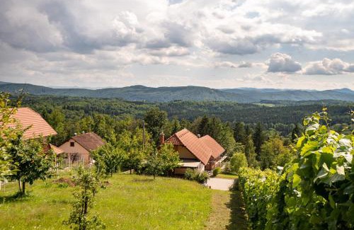 Dobrnic House | Vineyard Cottage Pod Piramido